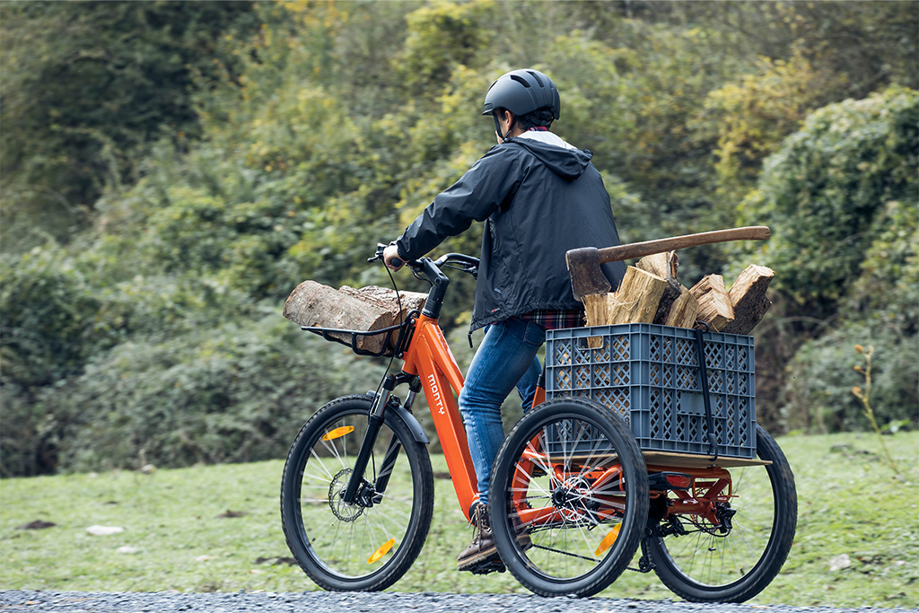 Comprar sillín cómodo con respaldo para triciclo eléctrico Monty